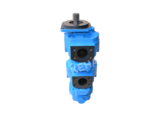 Iron Aluminum Ss  Gear Pump KLD80Z B0319141071 PA1911Q3B26A Option