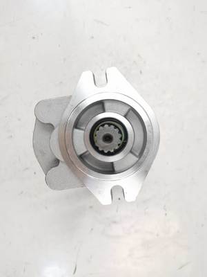 CBKZ-F452-A1L2 Φ13T Υδραυλική αντλία γραναζιών μέσης υψηλής πίεσης για εκσκαφέα, φορτωτή, γεωτρύπανο, γερανό