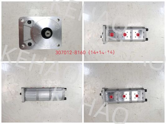 Υδραυλική αντλία 3 σταδίων 307012-8160 ((14+14+14) Υψηλής ποιότητας υλικά σιδήρου και αλουμινίου