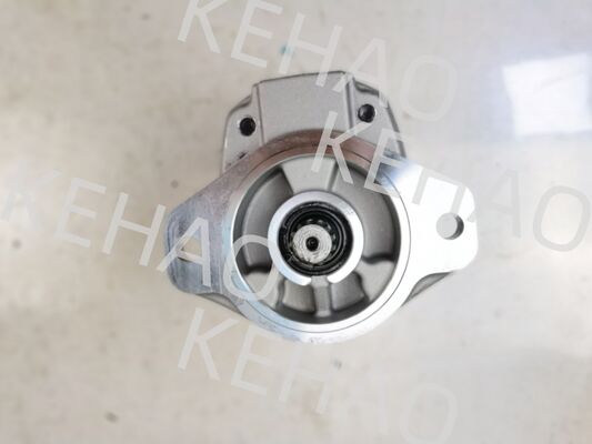 Υδραυλική αντλία γραναζιών σειράς D41, συμπεριλαμβανομένων των D41-45CC(R), D41-6E+40-28CCR, D41-400C(R) με ροή 1060lpm, ανοξείδωτο χάλυβα AISI και 1 έτος εγγύηση