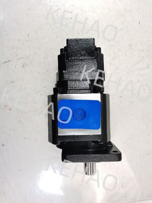 JHP3100+0010 6T L Υδραυλική αντλία τροχιάς JHP2063L 6T JHP3166L 6T Γεωργικά μηχανήματα Υδραυλικά για γάτες