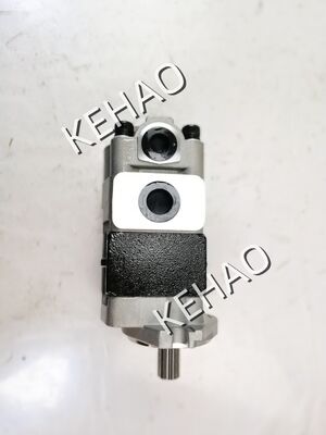 Σειρά 67110 Υδραυλική αντλία γρανάζων 67110-32870/67110-30550 Υψηλής πίεσης Βιομηχανική κλάση Ελαιο γρανάζων Υδραυλική αντικατάσταση για κατασκευαστικό εξοπλισμό