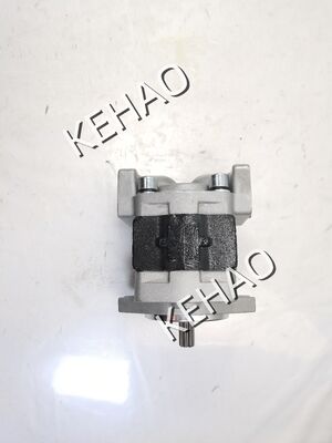Υδραυλική αντλία τροχιάς SGP1 Σειρά SGP1-25R520 SGP1-30A1H1 SGP1-A36L070 Σύνθετο υλικό Αντικατάσταση ανταλλακτικών